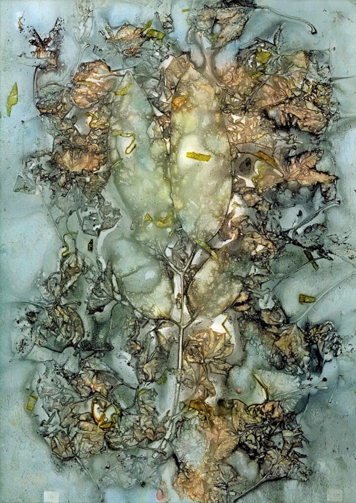 Exposition “Résultats alchimiques d'impressions végétales”