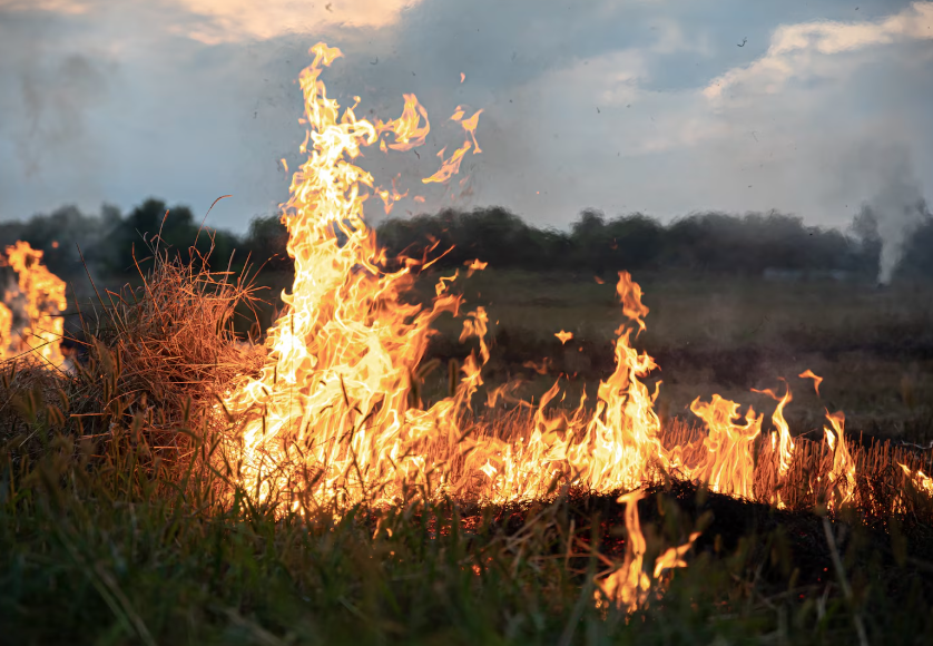 Prévention des feux de forêt