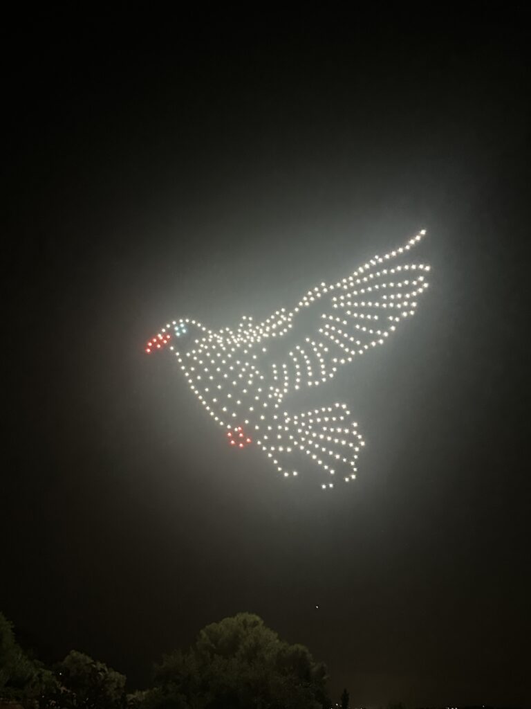 Spectacle de drones_Ste-Claire SaintPauldeVence 2026 (3)